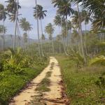 path